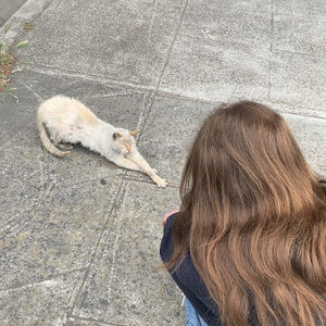 Meet your Posher, Madeleine